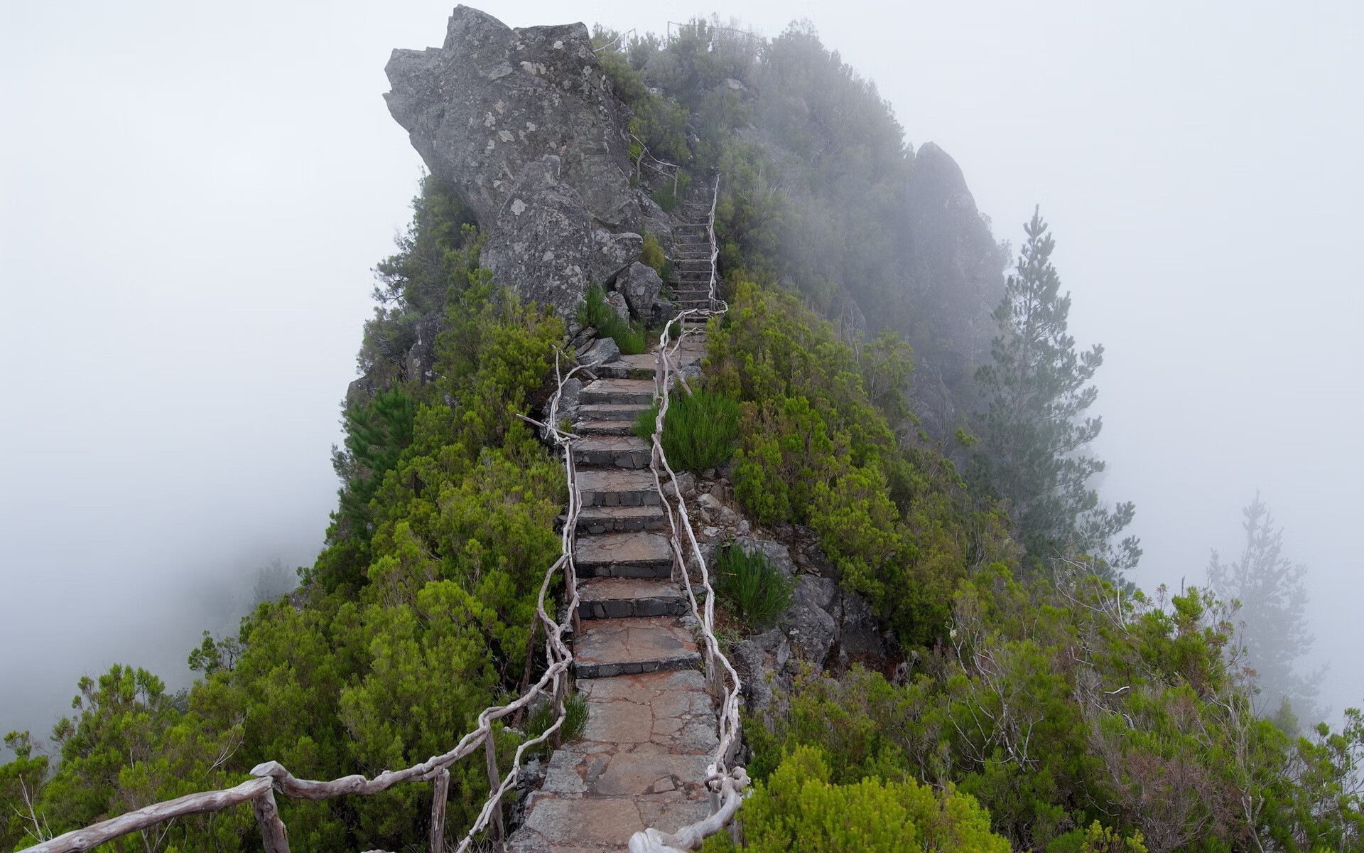 世界短道速滑教练能力认证第61期合格名单公布，世界短道速滑比赛